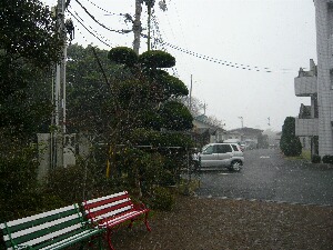 2010初雪２.JPG