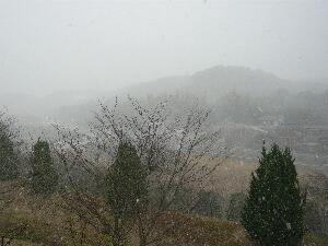 2010初雪.JPG
