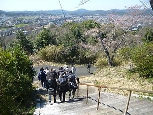 H24.4.1 サムラ物見山花見(109).JPG