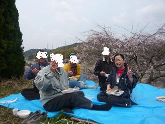 hanami04.JPG